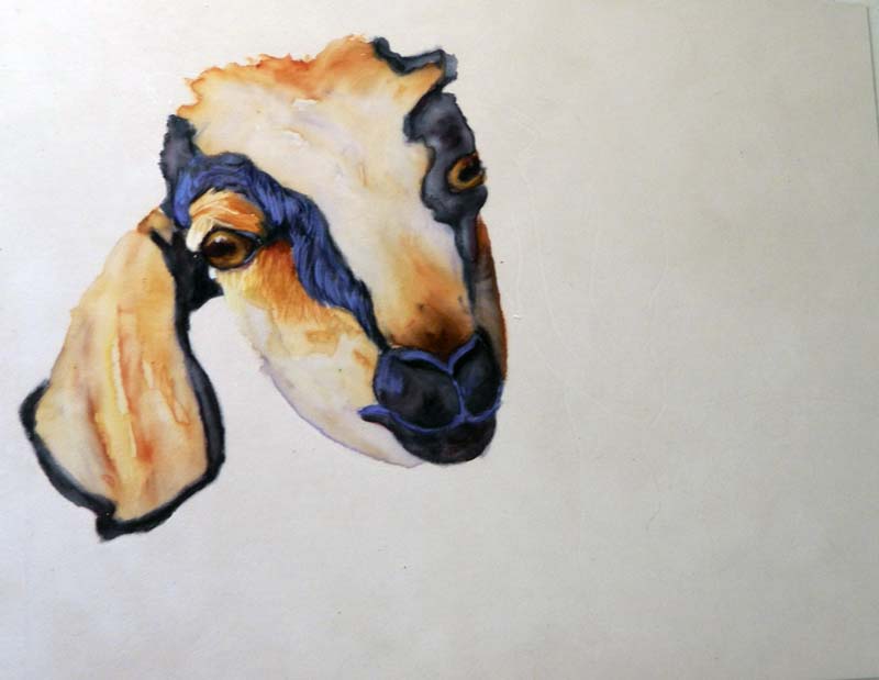 800x619 Baby Goat Art Fur In The Paint - Baby Goat Painting