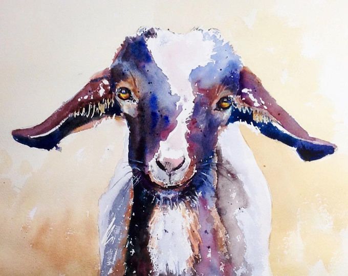 680x540 Baby Goat Billy The Kid - Baby Goat Painting