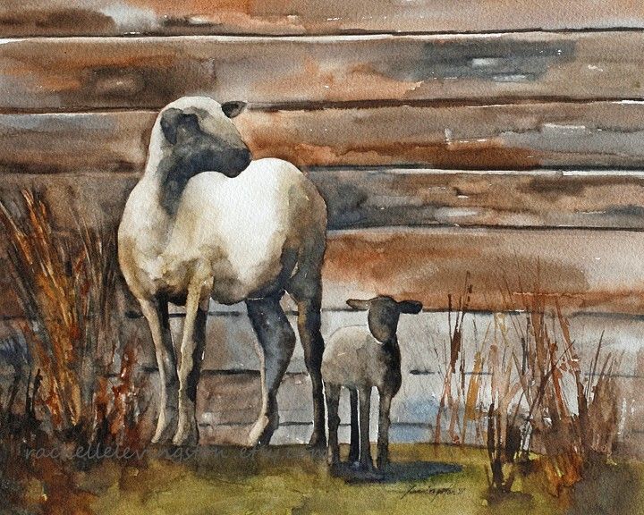 720x576 Sheep Art Print From Original Sheep Painting By Rachellelevingston - Baby Lamb Painting