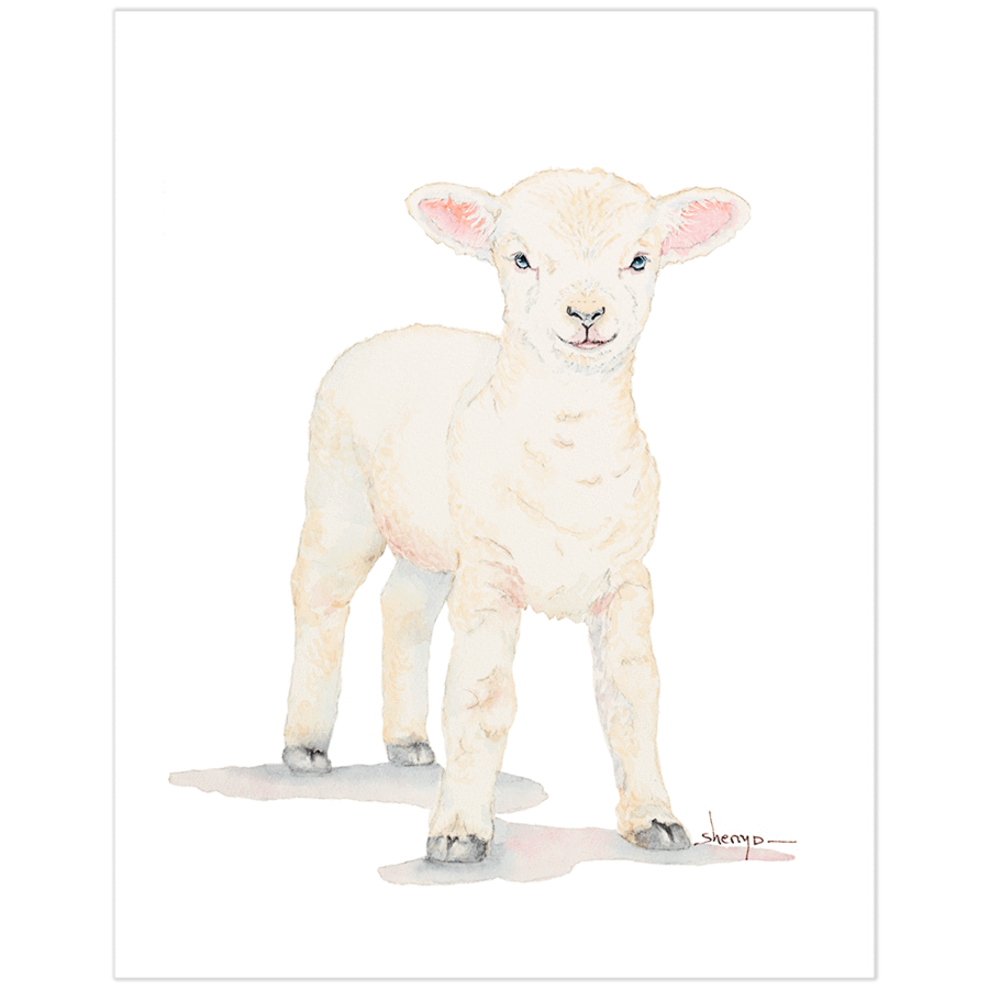 900x900 Baby Cow Wall Art - Baby Lamb Painting
