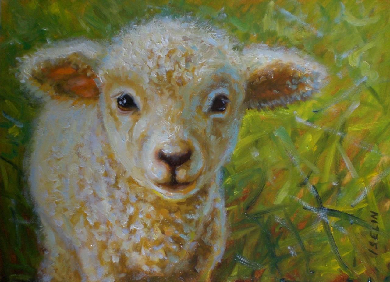 1280x926 Lamb Paintings Images Mary Iselin Fine Art - Baby Lamb Painting