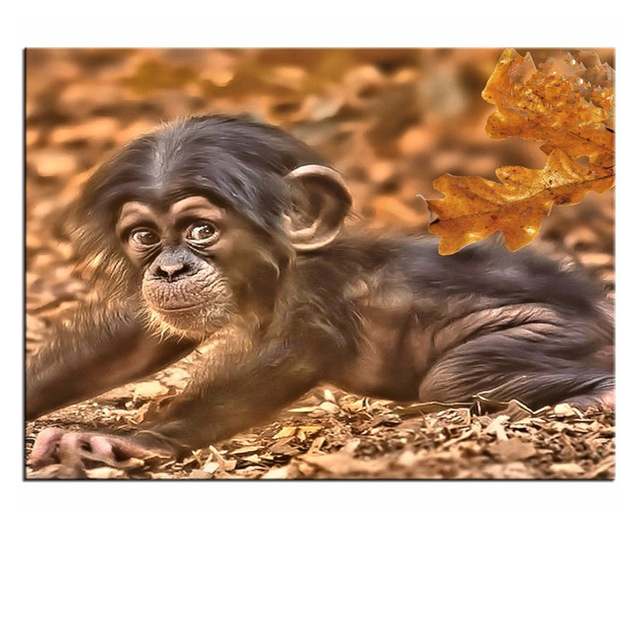640x640 New Drill Diamond Painting Cross Stitch Animals Cute Baby Monkey - Baby Monkey Painting