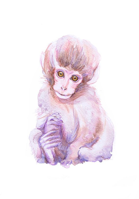 570x814 Baby Monkey Art Watercolor Painting, Baby Prints Boy Girl Nursery - Baby Monkey Painting