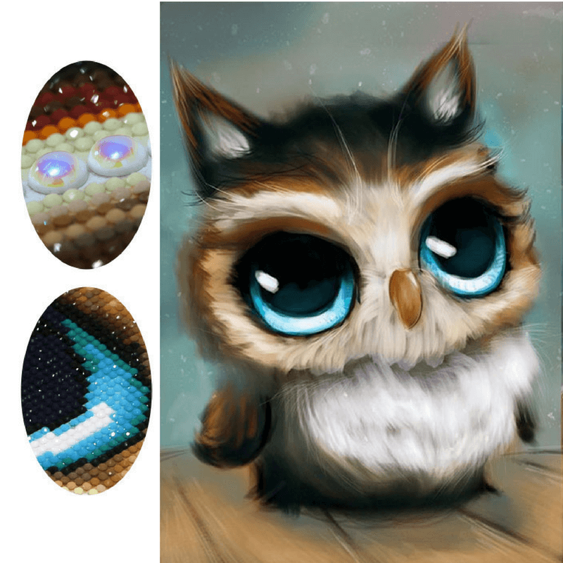 800x800 Baby Owl Wants Treats 5d Diamond Paintings - Baby Owl Painting