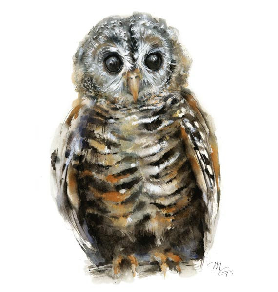 570x600 Baby Owl Watercolor Art Print Modern Owl Decor Wildlife - Baby Owl Painting