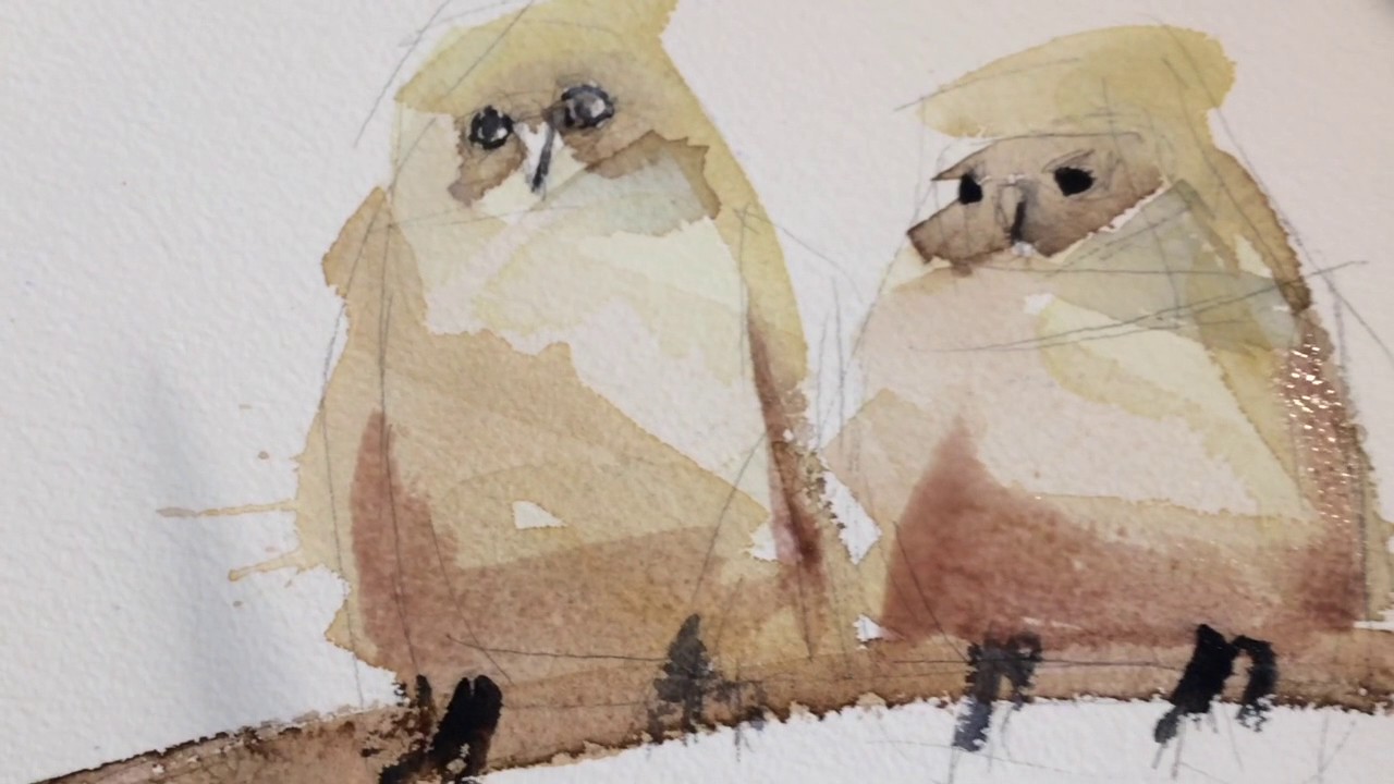 1280x720 Baby Owls Watercolor Painting Demo - Baby Owl Painting