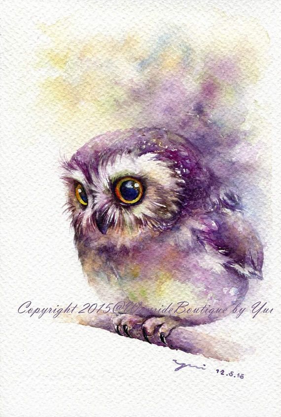 570x843 Greeting Owl Set 4 Cards - Baby Owl Painting