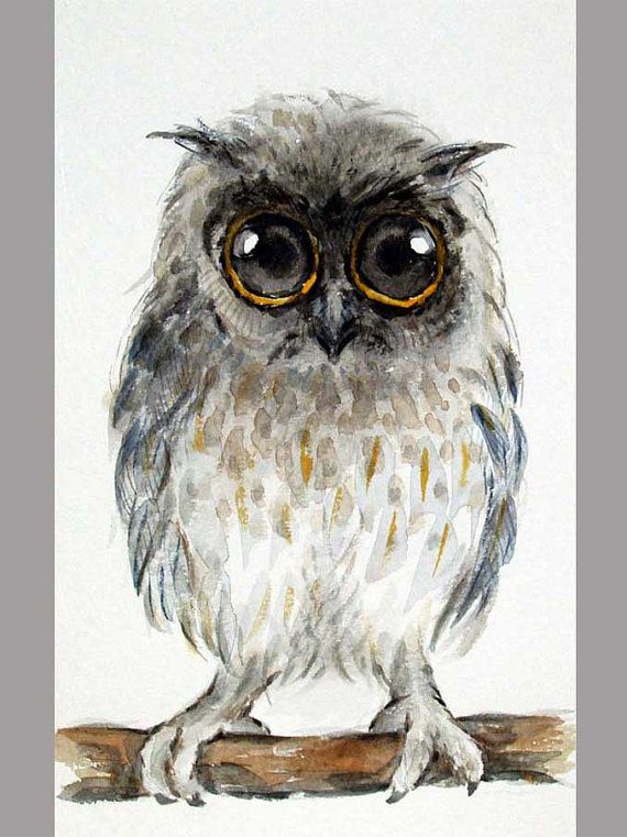 570x761 Owl Original Watercolor Painting,baby Owl Art,gray Black Kids - Baby Owl Painting