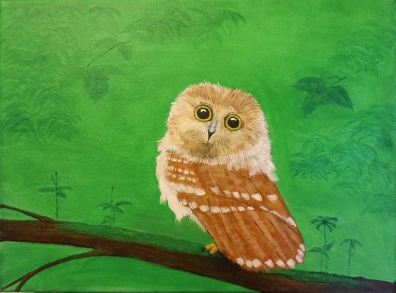 770x570 Saatchi Art Baby Owl Painting By Harley Bradley - Baby Owl Painting