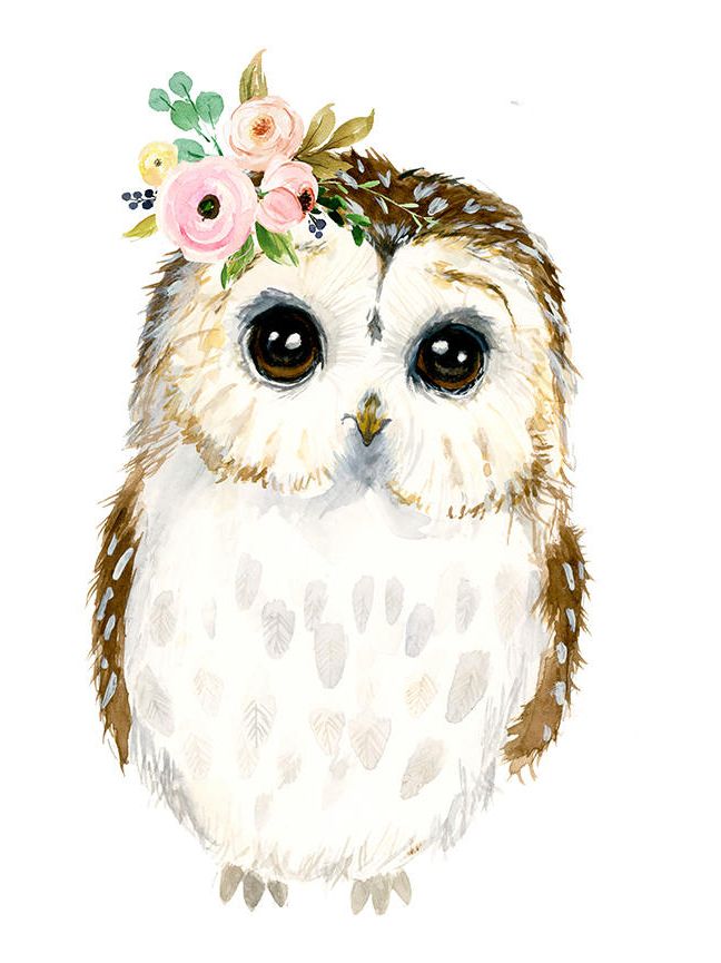 648x865 Watercolor Baby Owl, Owlet Painting, Woodland Nursery, Animal - Baby Owl Painting