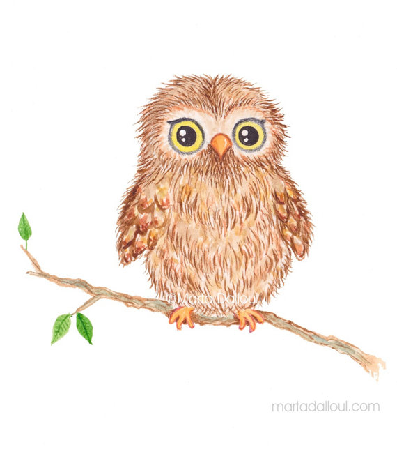570x674 Woodland Animal Nursery Art. Baby Animal Print. Owl Art Print. - Baby Owl Painting