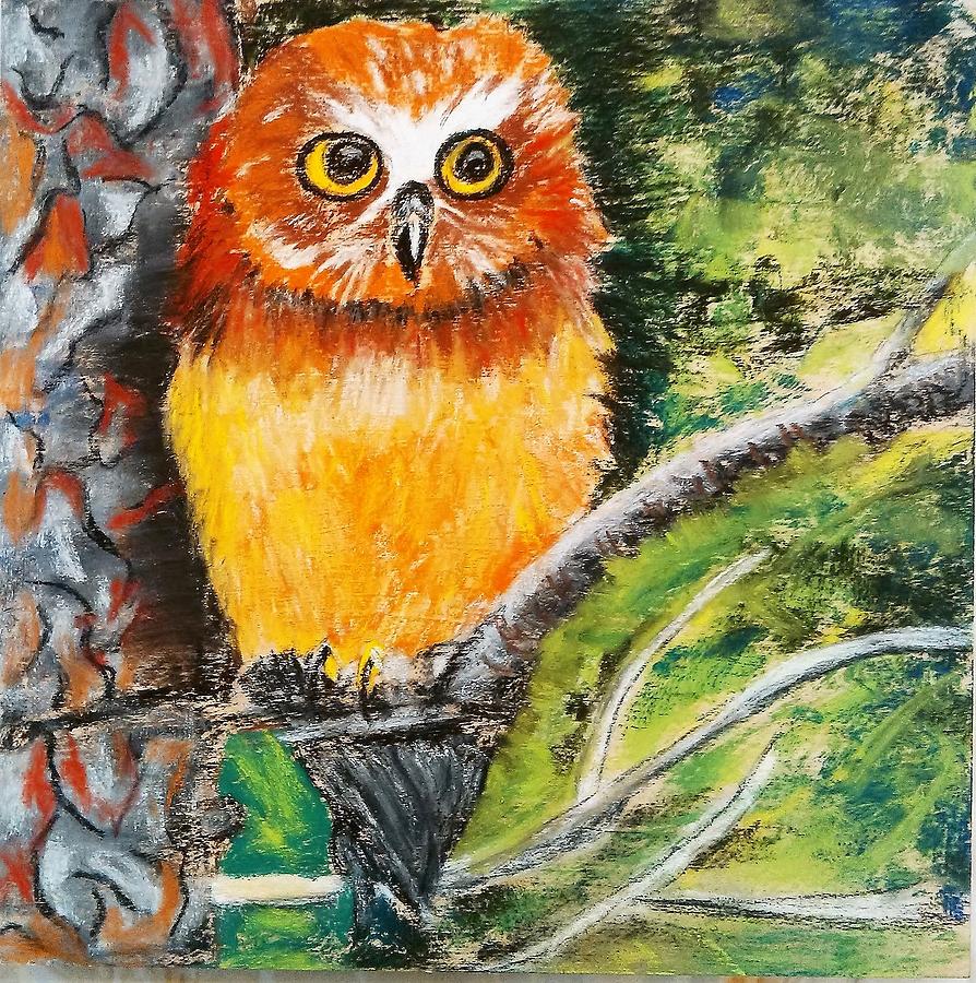 894x900 Baby Owl Painting By Adele Steinberg - Baby Owl Painting