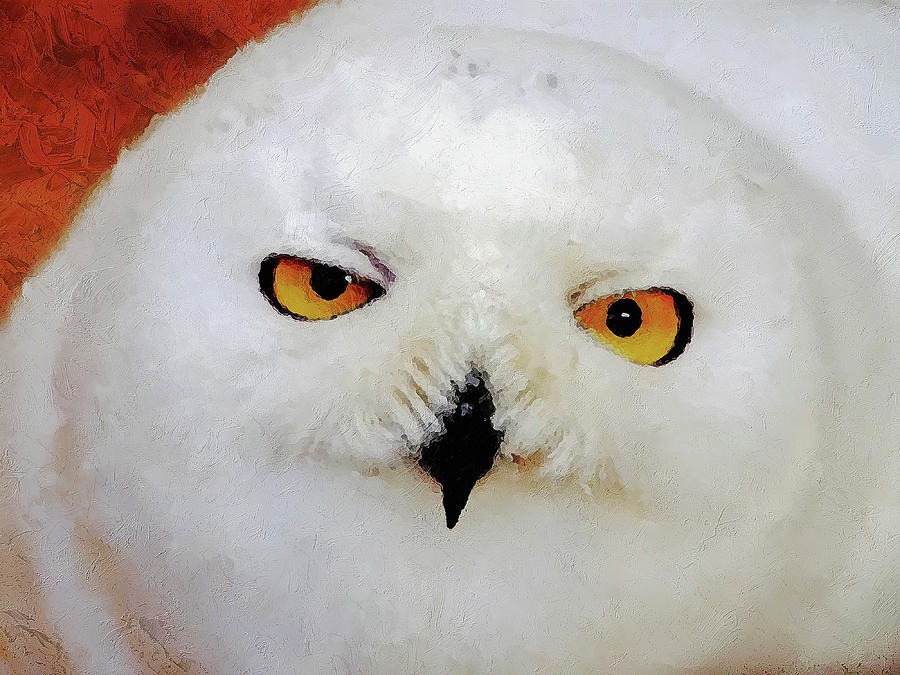 900x675 Baby Owl Painting By Jacky Gerritsen - Baby Owl Painting