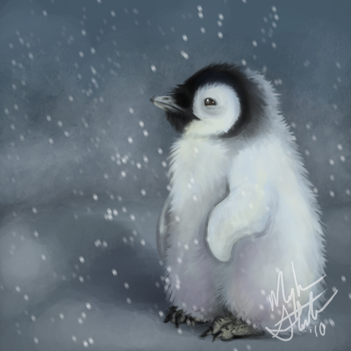 императорский пингвин в антарктиде. королевский пингвин в антарктиде. императорский пингвин фото. пингвины обои. семья императорских пингвинов.