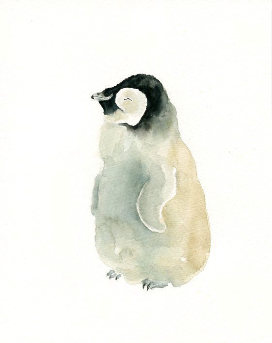 561x708 Baby Penguin Original Watercolor Painting Xinch By Dimd On Top - Baby Penguin Painting