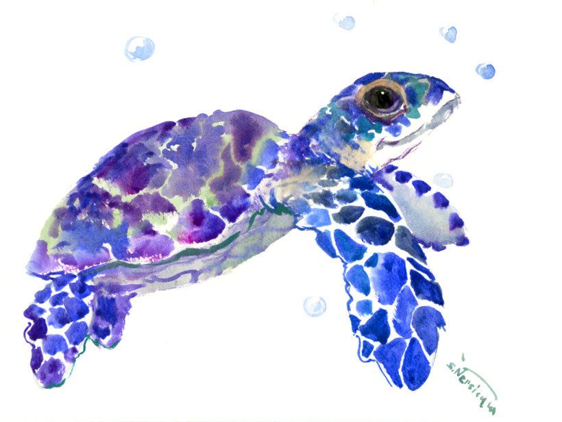 Baby Sea Turtle Painting at PaintingValley.com | Explore collection of ...