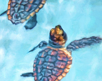 340x270 Sea Turtle Hatchlings Baby Sea Turtle Painting Sea Turtle - Baby Sea Turtle Painting