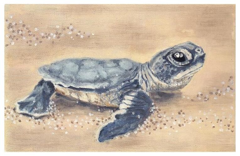 765x498 Sea Turtle Paintings Baby Sea Turtle Chelonia Mydas Jenny - Baby Sea Turtle Painting