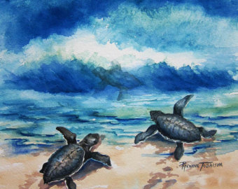 340x270 Sea Turtles Baby Sea Turtles Loggerhead Turtle Art 5 X 7 - Baby Sea Turtle Painting