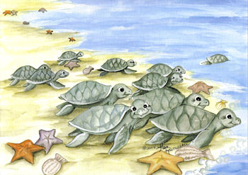 350x247 Turtle Max Reptile Gifts - Baby Sea Turtle Painting