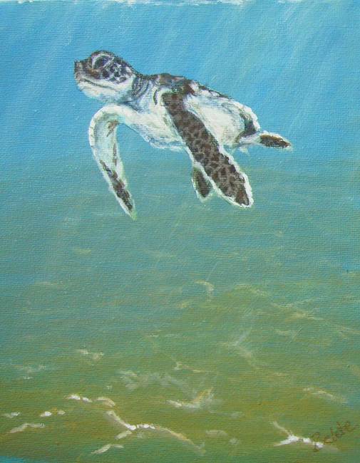 505x650 Baby Sea Turtle Underwater By Jennifer Belote - Baby Sea Turtle Painting