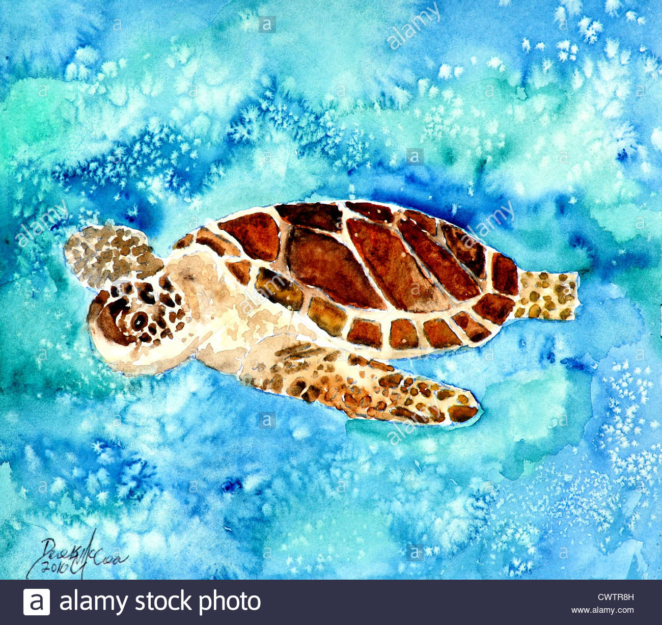 1300x1227 Baby Sea Turtle Watercolor Painting Of Sea Turtles Stock Photo - Baby Sea Turtle Painting