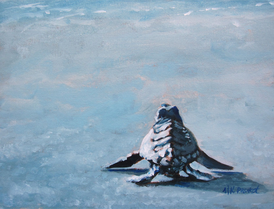 945x720 Baby Sea Turtle - Baby Sea Turtle Painting