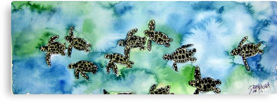 550x203 Baby Sea Turtles Painting Canvas Prints By Derekmccrea Redbubble - Baby Sea Turtle Painting