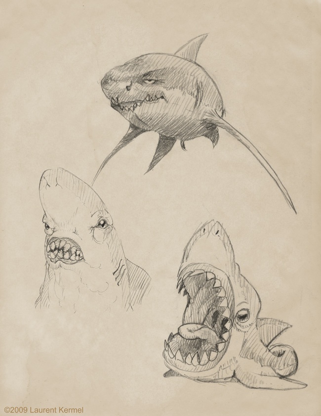 650x841 Baby Shark Sketches - Baby Shark Painting