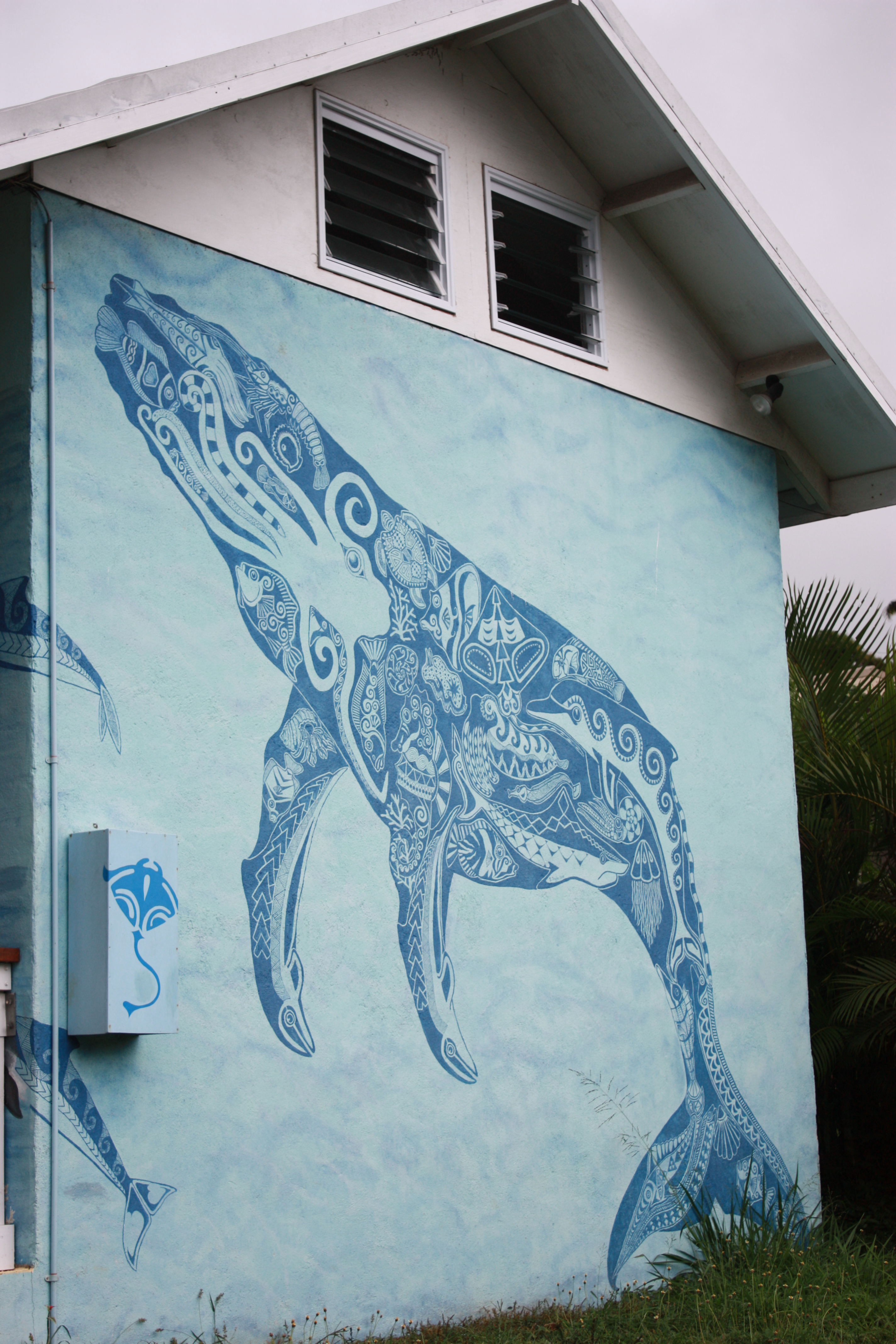 2848x4272 Baby Shark Ocean Safaris - Baby Shark Painting