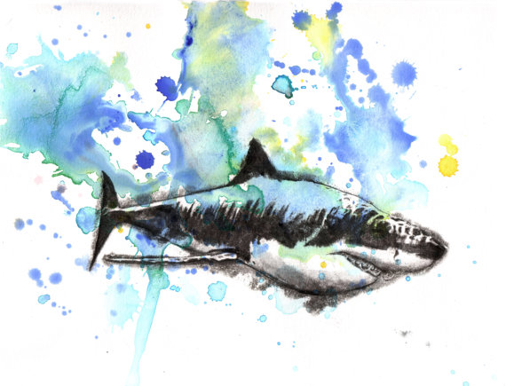 570x435 Great White Shark Art Print From Original Watercolor Painting - Baby Shark Painting