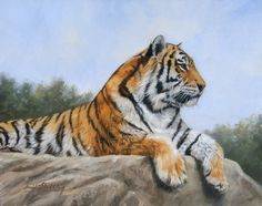 236x186 Baby Tiger Painting By David Stribbling Art - Baby Tiger Painting