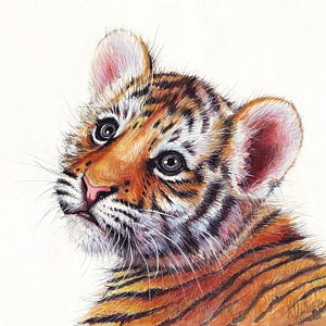 300x300 Tiger Cubs Paintings Fine Art America - Baby Tiger Painting