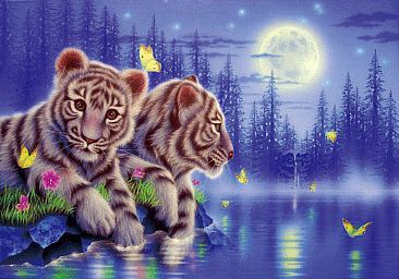 366x256 White Baby Tiger - Baby Tiger Painting