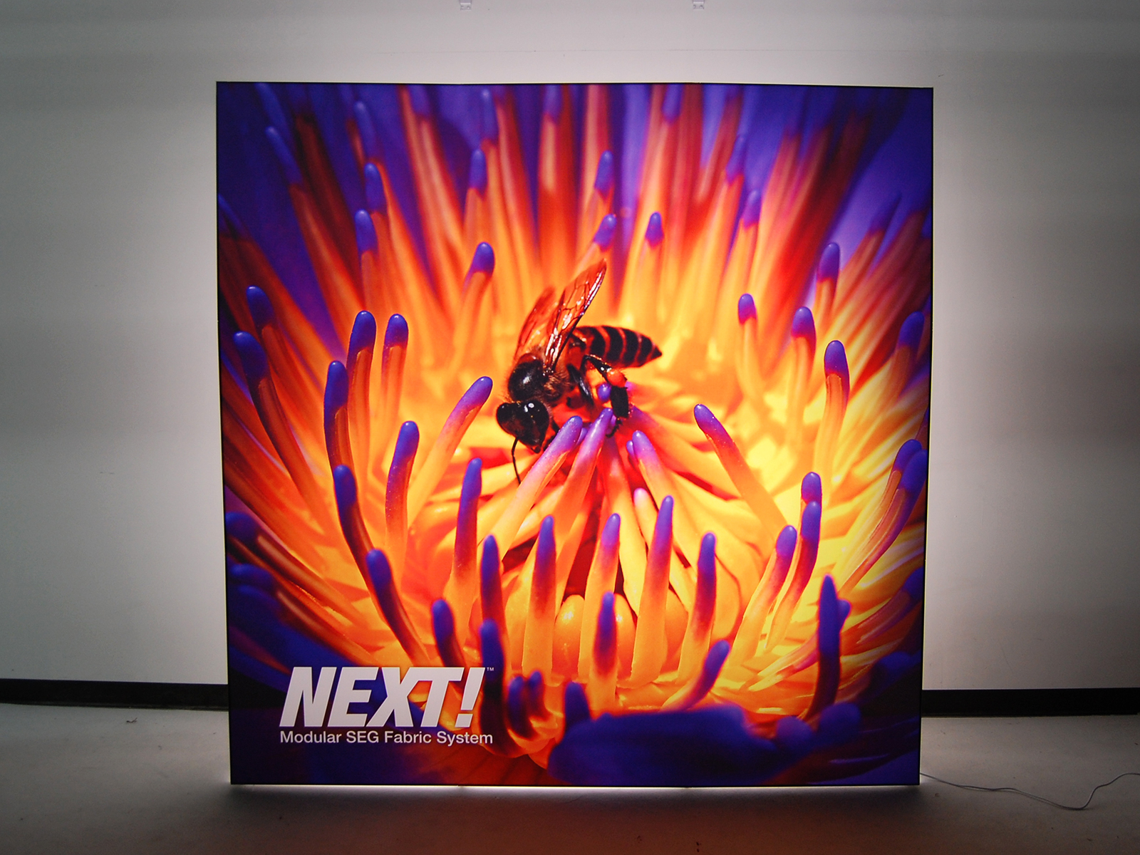 1600x1200 Exhibit Design Search - Backlit Painting