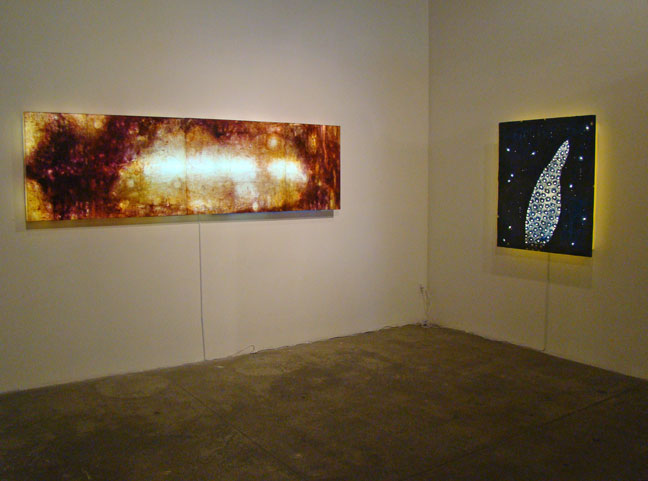 648x481 Sfmoma Artists Gallery, Braunsteinquay, Hosfelt, Togonon, Jack - Backlit Painting