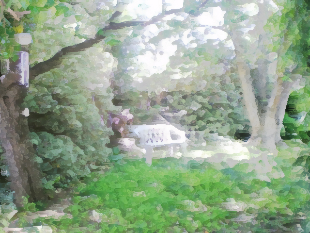 640x480 Backyard Dkzody's Weblog - Backyard Painting