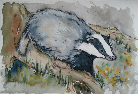 570x390 Badger Painting Original Watercolour Painting One Off - Badger Painting