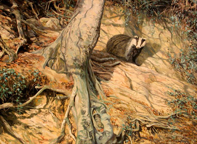 401x294 Badger Pictures - Badger Painting