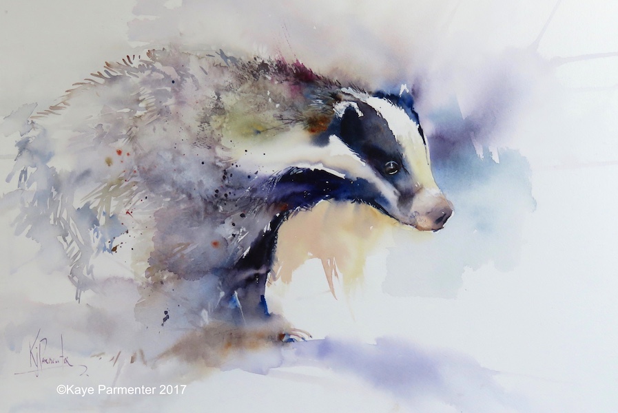 897x600 Kaye Parmenter Artist - Badger Painting