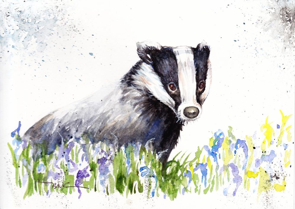 1000x708 Original Watercolour Painting By Be Coventry,animals,realism - Badger Painting