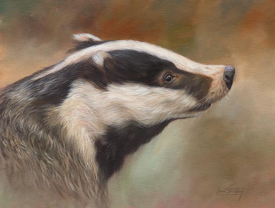 900x681 Our Friend The Badger Painting By David Stribbling - Badger Painting