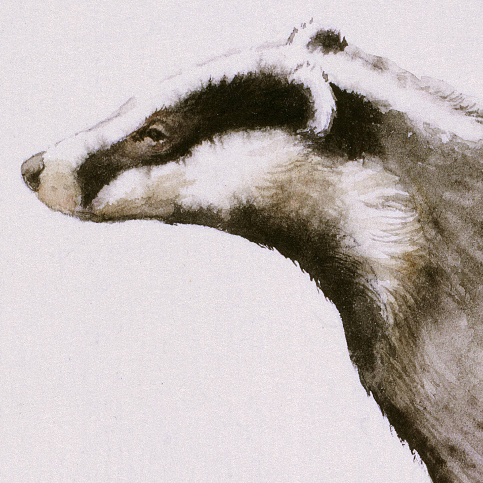 1920x1920 Saatchi Art Badger Painting By Attila Meszlenyi - Badger Painting