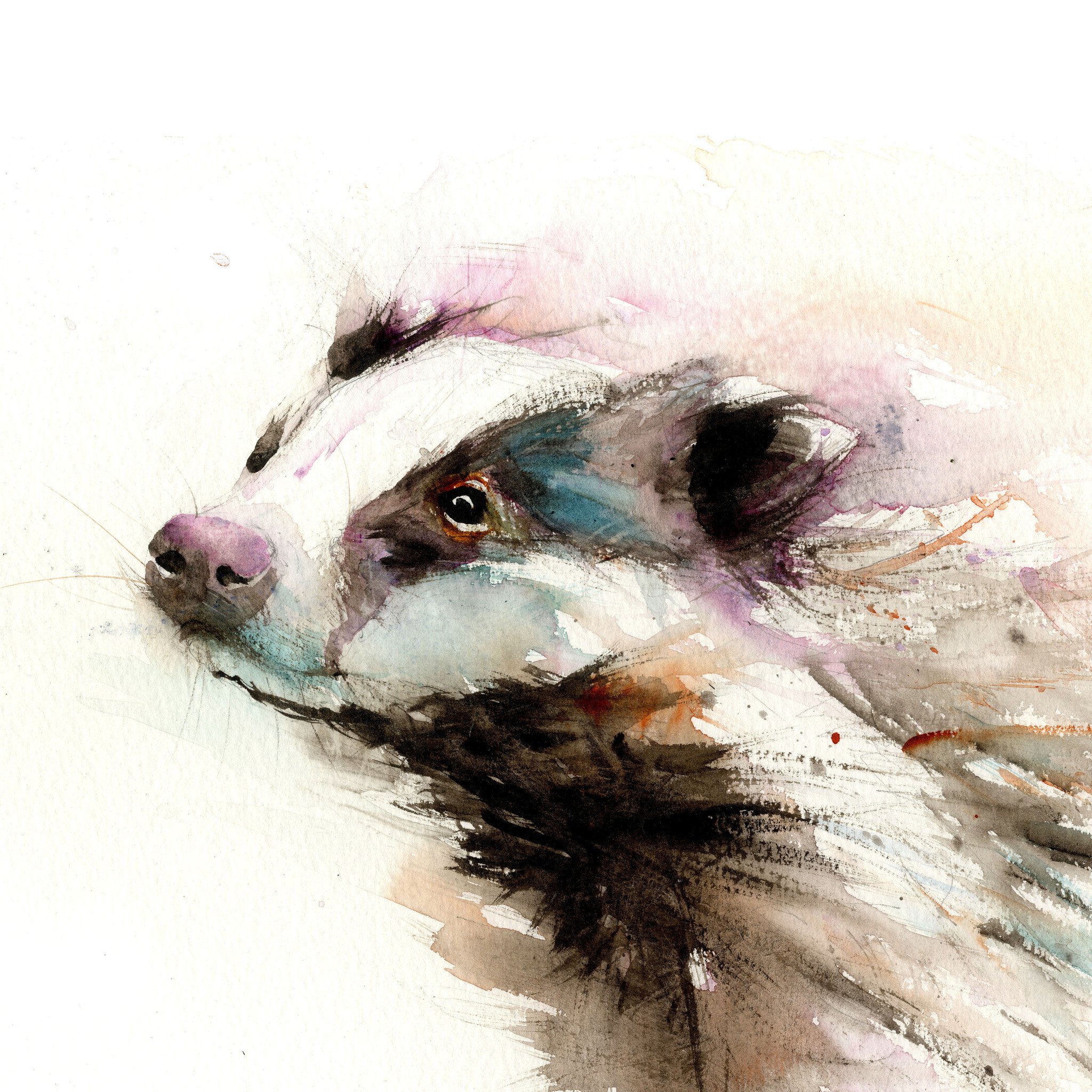 2048x2048 Signed Limited Edition Print - Badger Painting