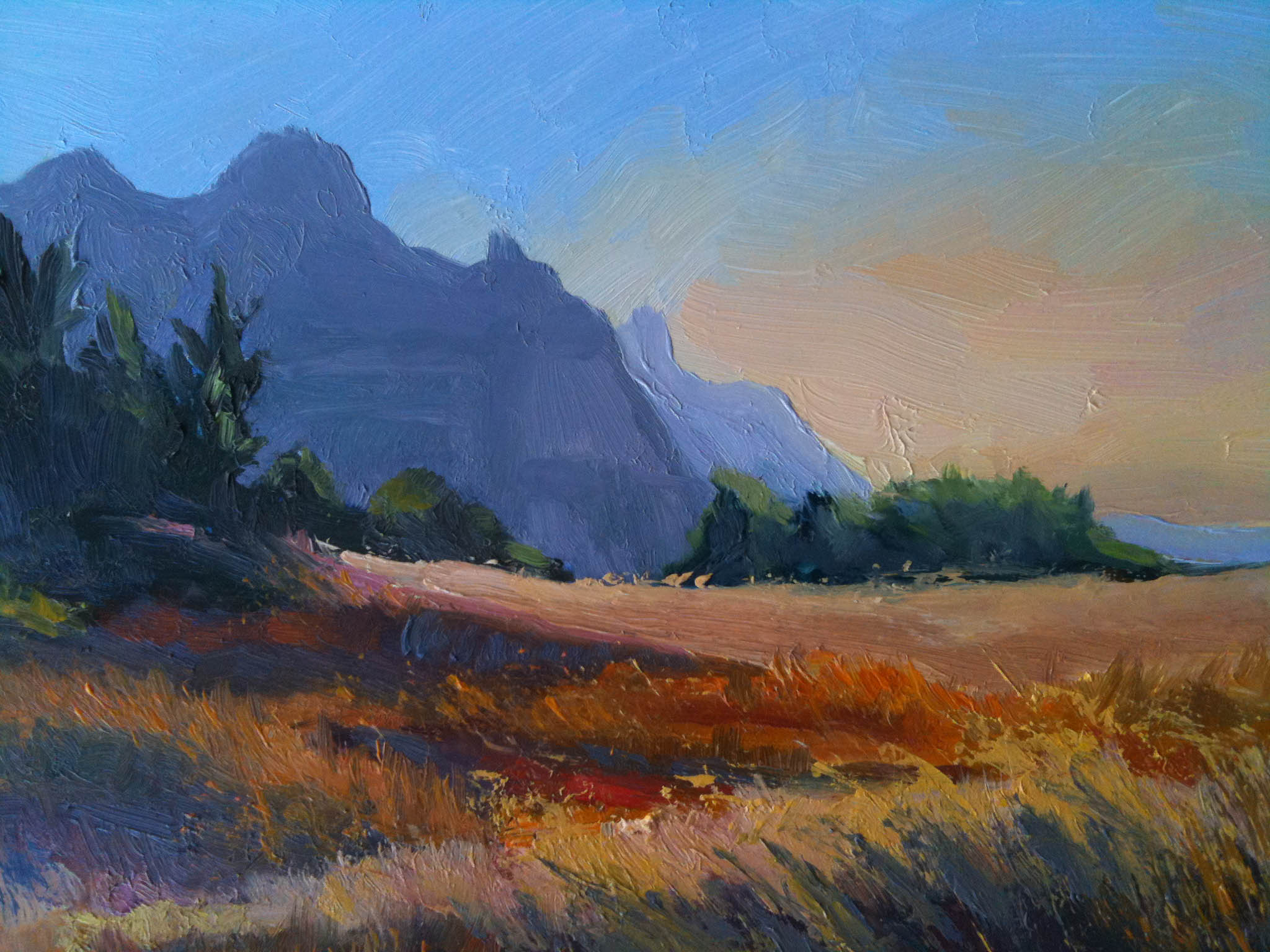 2048x1536 A Few Adell Donaghue - Badlands Painting