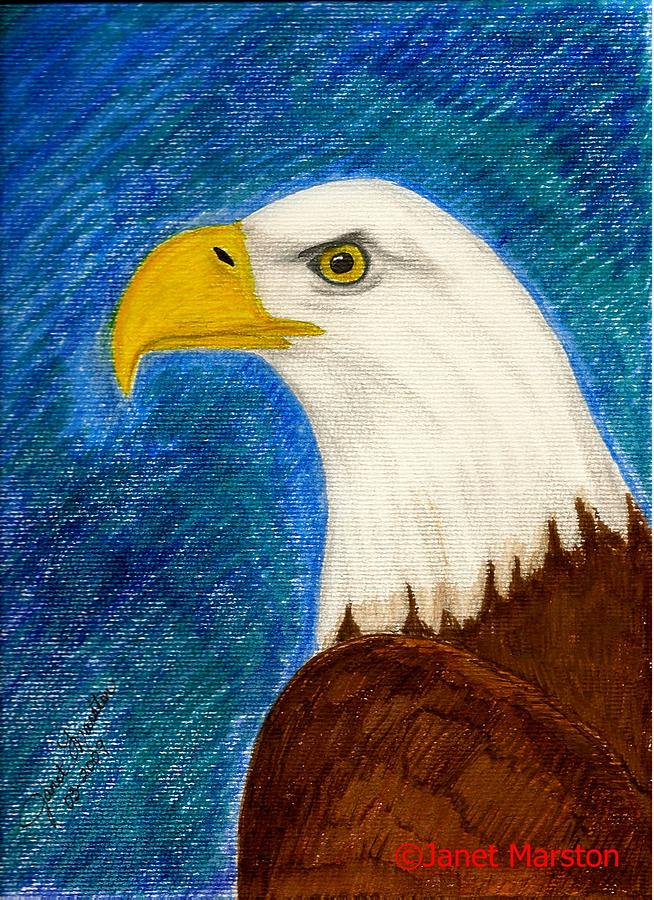 654x900 Bald Eagle Painting Painting By Janet Marston - Bald Eagle Painting
