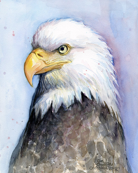 Bald Eagle Painting at PaintingValley.com | Explore collection of Bald ...