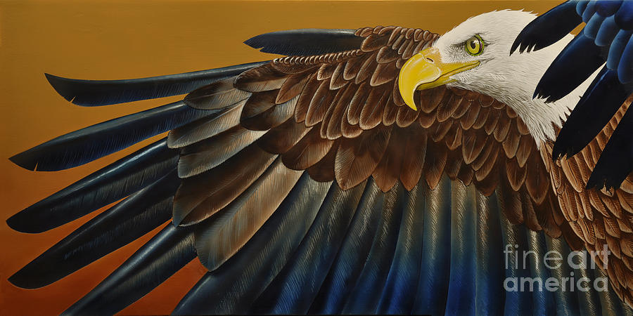 900x450 Bald Eagle Painting By Jurek Zamoyski - Bald Eagle Painting