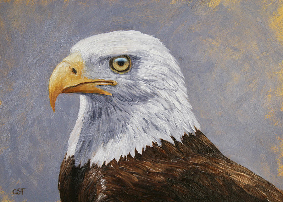 900x642 Bald Eagle Portrait Painting By Crista Forest - Bald Eagle Painting