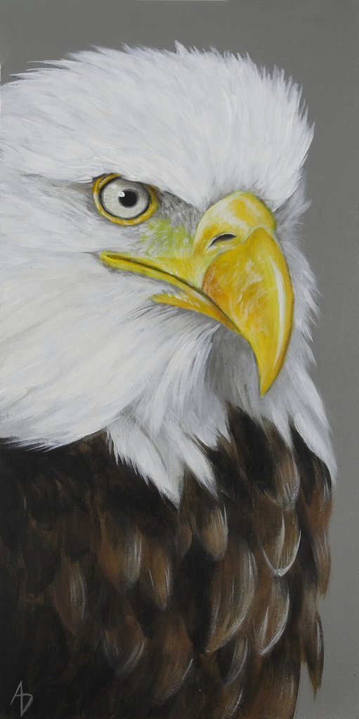 511x1023 Bald Eagle Artwork Of The National Bird Of The Usa, Raptor - Bald Eagle Painting